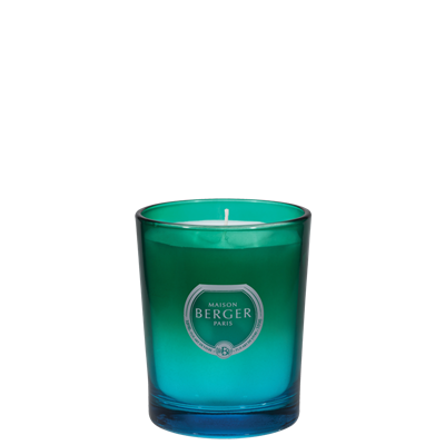 Dare Green Blue Candle Zest of Verbena
